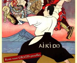 Afbeelding over activiteit: Aikido